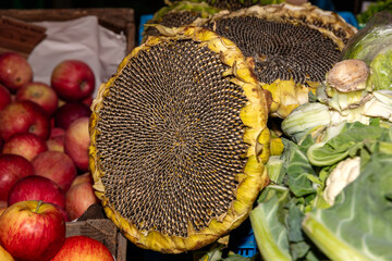 Słonecznik na stoisku targowym