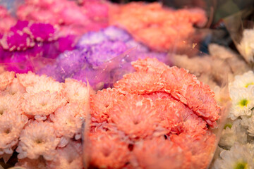 Świeże kwiaty na targu kwiatowym