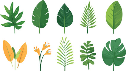 Collection of diverse tropical and exotic green and yellow leaves on a white background