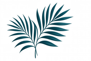 Two teal palm leaves overlapping on a transparent background, evoking a sense of tropical tranquility and relaxation