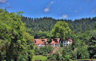 Kartause in Freiburg im Sommer