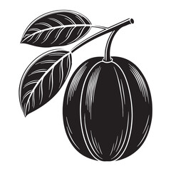 Black kakadu plum Silhouette Vector, High Quality Illustration on White Background © Craftdot