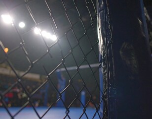 Interior MMA cage, blurry figures