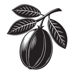 Black feijoa Silhouette Vector, High Quality Illustration on White Background