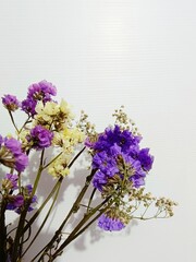 A vibrant arrangement of colorful flowers against a plain white backdrop, emphasizing their fresh and natural beauty