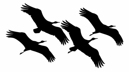 Obraz premium Silhouette of four birds with outstretched wings flying in formation against a white background in the sky | editable eps vectors