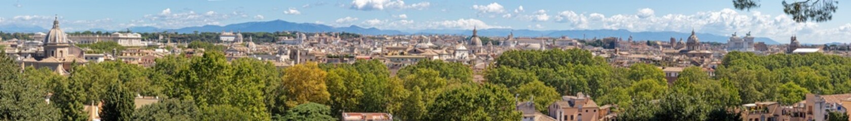 Obraz premium Rome - The panorama of the city.