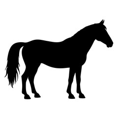 Obraz premium horse vector silhouette standing calmly with straight posture in profile view isolated on white background concept of equestrian sport veterinary agriculture