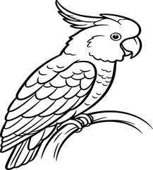 Black and white parrot line drawing perched on branch, detailed vector bird illustration for wildlife, nature, coloring book, and educational design