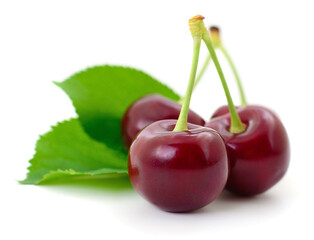 Dark red cherries with green leaves isolated on white background