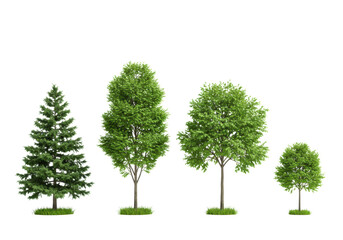 Obraz premium Four distinct green trees (fir, deciduous, conifer, sapling) with vibrant grass, against a pristine, transparent studio cyclorama background with copy space, concept of environmental sustainability