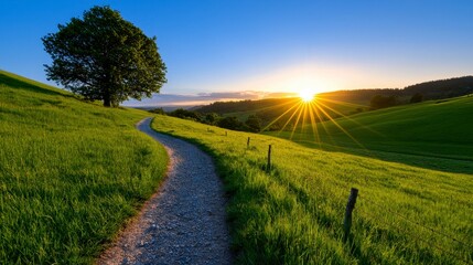 Obraz premium A serene rural landscape showcasing a path through meadows and trees under a bright blue sky and warm sunlight.