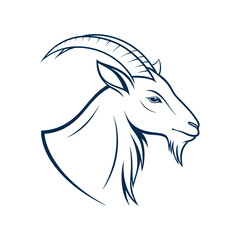 black and white goat