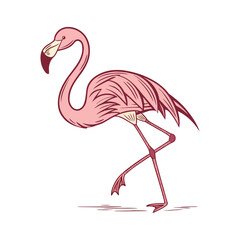 flamingo vector illustration