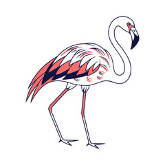 pink flamingo isolated on white