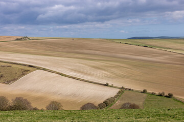 Obraz premium A rolling South Downs landscape in springtime, on a sunny day in Sussex