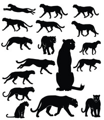 Collection of jaguar animal silhouette vector illustration set for design and artwork use
