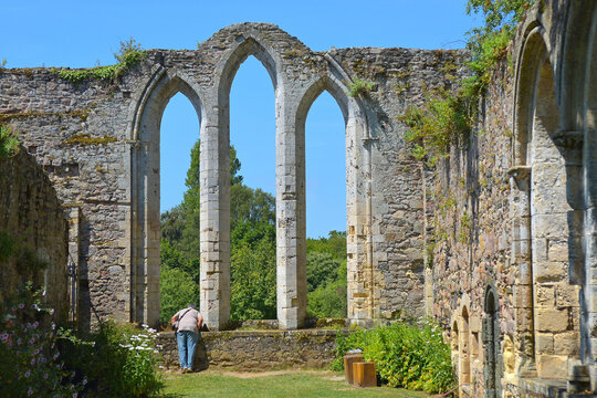 Ruine der  Abbay de Beauport,   Paimpol,  Bretagne,  Frankreich  