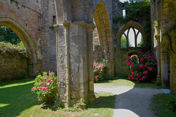 Ruine der  Abbay de Beauport,   Paimpol,  Bretagne,  Frankreich  
