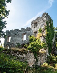 Imagen hiperrealista de un poblado minero, sin presencia humana ni elementos modernos. est&aacute;n cubiertas por densa vegetaci&oacute;n: hiedra, arbustos, musgo y ra&iacute;ces que se aferran a la piedra erosionada.