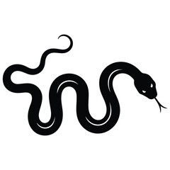 black and white snake