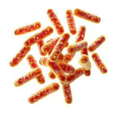 Microscopic view of rodshaped bacteria cells with visible structures showcasing microbiology and scientific research on transparent background