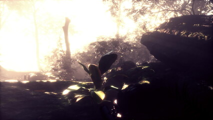 In a serene forest, gentle morning light penetrates the trees, illuminating lush green plants. A tranquil atmosphere envelops the scene, inviting calm and reflection.