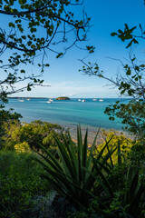 Vertical shot of a boat anchorage located in Green Island, in Antigua and Barbuda, with plants in the foreground and blue sky 