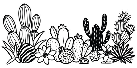 Black and white illustration of a desert landscape with various cacti and succulents