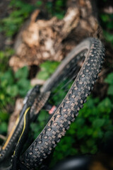 Bike wheel protector close up