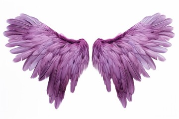Fototapeta premium Purple wings angel bird white background.