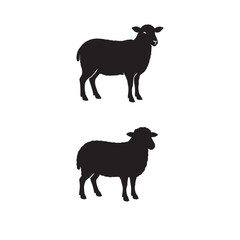 Sheep Standing Silhouette Vector Illustration

Black and White Sheep Side View Outline

Farm Sheep Standing Animal Design