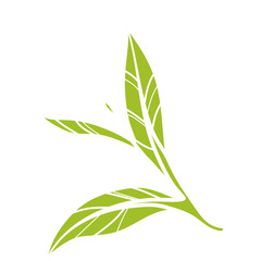 A stylized graphic illustration of a fresh green tea sprig with three leaves on a white background.