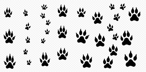 A collection of various sized black animal paw prints scattered across a transparent background.