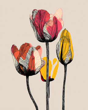 Tulipani rossi e gialli in line art su beige, tratti fini e volumi grafici. Elemento floreale isolato per poster, tessile e comunicazione; sfondo neutro, scontorno rapido.
