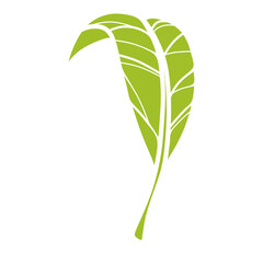 Hand-drawn single green leaf icon with delicate veins. A minimalist symbol for eco-friendly concepts, wellness, and natural organic products