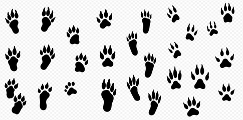 An assortment of animal paw prints, including both four-toed and five-toed varieties, scattered across a transparent background.