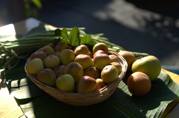 Homegrown organic figs in basket.