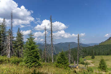 Obraz premium Mountain landscape in the summer day
