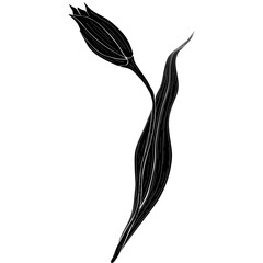 Black and white vector illustration of a single flower bud with a long stem and leaf, stylized botanical drawing.