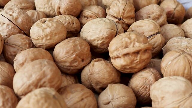 Walnuts in shells macro close up 4k video highlighting rough shell texture and earthy tones