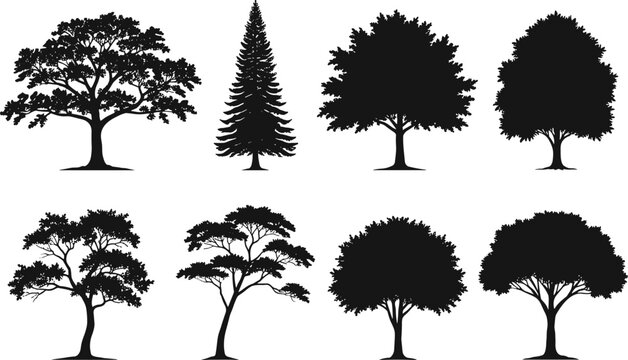 Collection of black tree silhouettes including deciduous, tropical, and coniferous trees for vector illustrations, landscape design, and nature graphics.