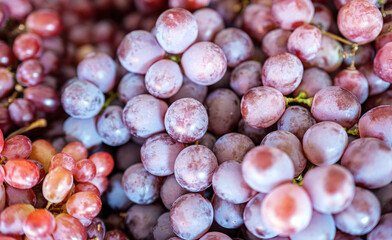 Close-up of Red grape cluster, Red grapes wallpaper background