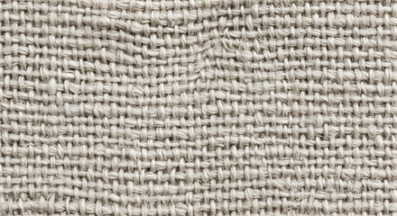 Textured neutral fabric weave background, perfect for design projects and material textures.
