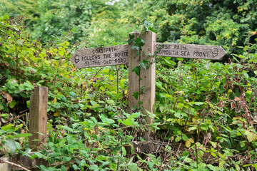 Traditional wooden fingerpost signpost, overgrown with vegetation, on the coast path outside Sidmouth, East Devon