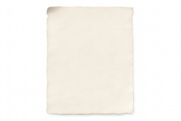 Aged blank paper with torn edges in rectangular shape, isolated on transparent background, offering space for text or design
