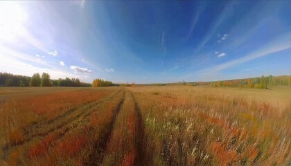 Naklejka premium Autumn landscape