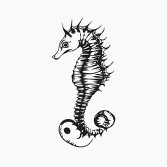 Fototapeta premium vector illustration of a seahorse