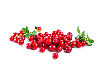 Ripe shiny lingonberries with leaves isolated on white background.