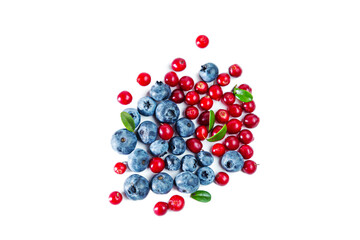 Ripe shiny lingonberries and blueberries with leaves isolated on white background.